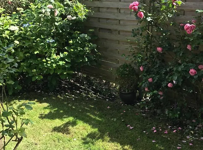 Kastanienhues * 韦斯特兰